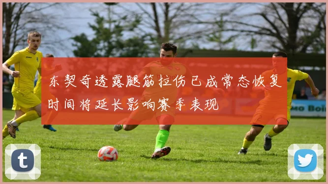 东契奇透露腿筋拉伤已成常态恢复时间将延长影响赛季表现